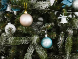 Поздравление мэра Москвы С. С. Собянина с Новым 2026 годом