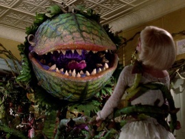 Лавка ужасов