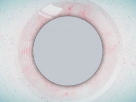 Здесь и там