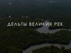 Дельты великих рек