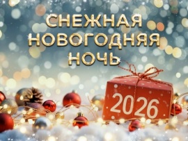 Снежная новогодняя ночь-2026