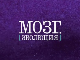 Мозг. Эволюция