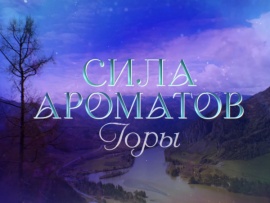 Сила ароматов. Горы