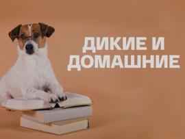 Дикие и домашние (2)