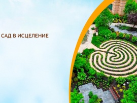 Сад в исцеление