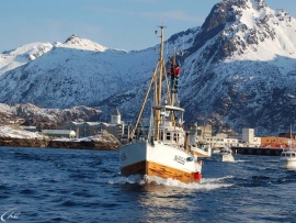 Рыболовные экспедиции в Норвегию