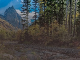 Природные парки