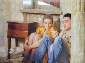 Бабочки (3)