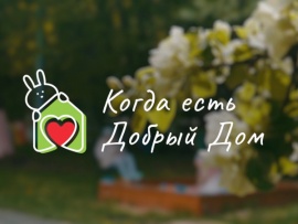 Когда есть Добрый Дом