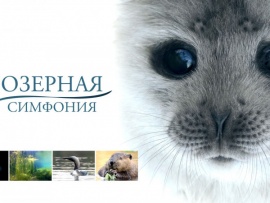 Озёрная симфония (2)
