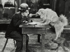 Золотая лихорадка