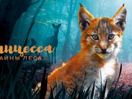Линцесса. Тайны леса