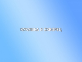 Кукушка и скворец