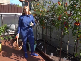 Секреты садоводства с Мариной Рыкалиной
