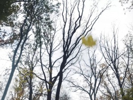 Я приближаю победу