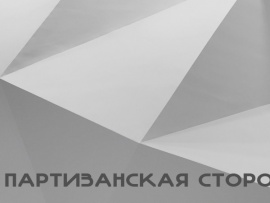Партизанская сторона