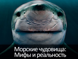 Морские чудовища: Мифы и реальность