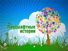 Ландшафтные истории
