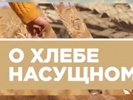 О хлебе насущном (2)