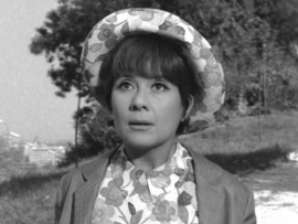 История моей глупости