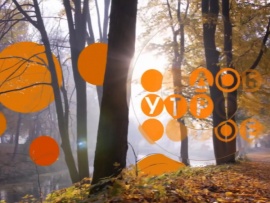 Телеканал Доброе утро