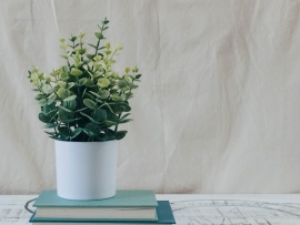 Жизнь в деревне