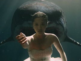 Остров акул