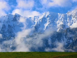 Только наверх