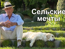 Сельские мечты