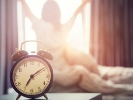 Жаворонки против сов