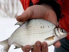 Зимняя рыбалка в Удмуртии