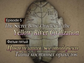 Древние цивилизации. Цивилизация Жёлтой Реки. Тайна костяных оракулов