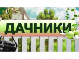 Дачники (2)