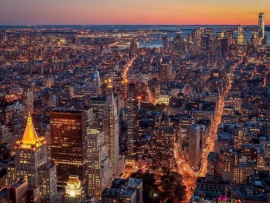 Перелетные птицы Америки