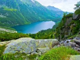 Глазами живой природы