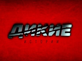 Дикие истории. Медведь на приваде