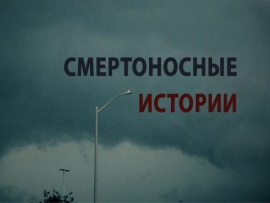 Абсурдные убийства