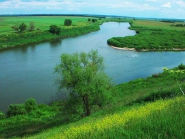 Вниз по течению (2)