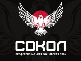 Смешанные единоборства. Профессиональная бойцовская лига Сокол. Прямая трансляция из Москвы