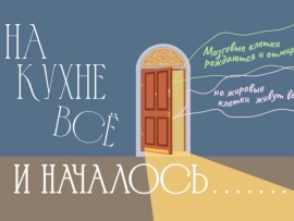 На кухне все и началось