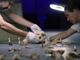 Старше неандертальцев