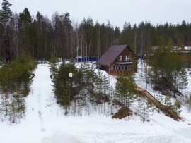 Седина в голову