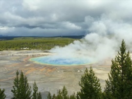 Сады чистой воды