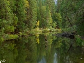 Странники (2)