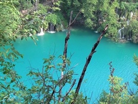 Вода - основа жизни