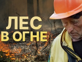 Лес в огне
