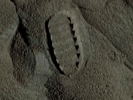 Лунная миссия