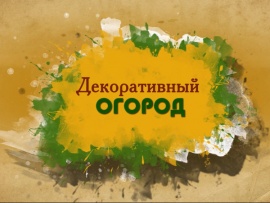Декоративный огород