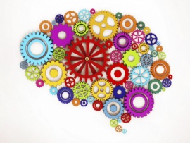 Мозг. Эволюция