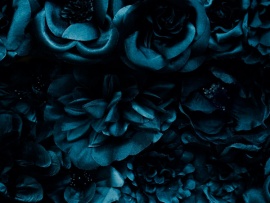 Предательство